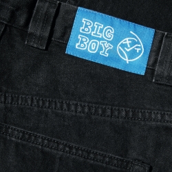 Polar Skate Co. Big Boy Pants Brown Blue